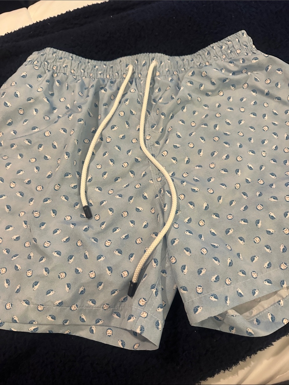 Fedeli Light Blue Printed Swim Trunks